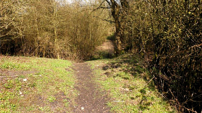 View from the north west corner of the wood