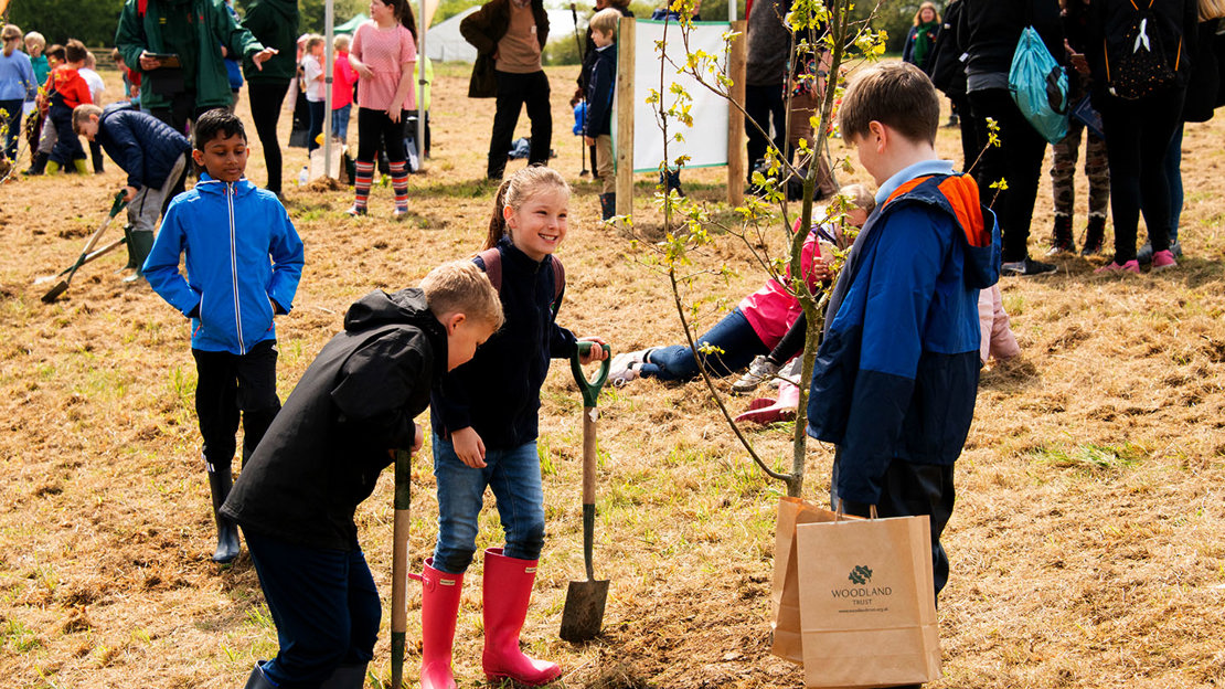 Group of smiling schoolchildren planting a tree