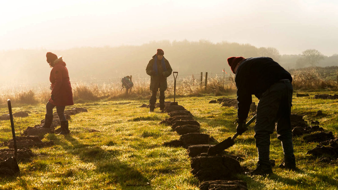 Silhouette of people digging holes for tree planting at Mead.