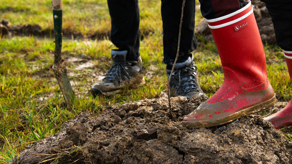 Muddy wellies firming down soil around a sapling at a planting event at Mead.