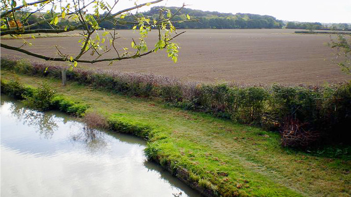 Canal embankment view from Elkington Bridge, showing some erosion