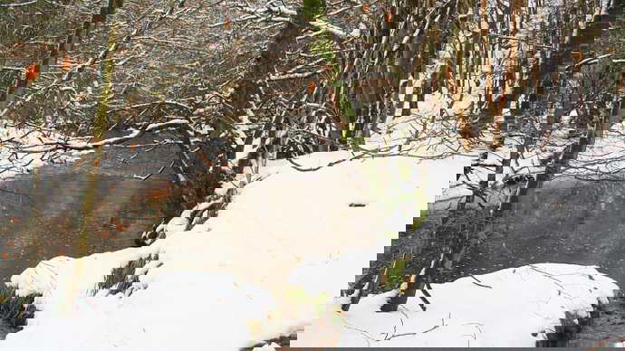 Ice-free river in winter, with heavy snow-covered banks