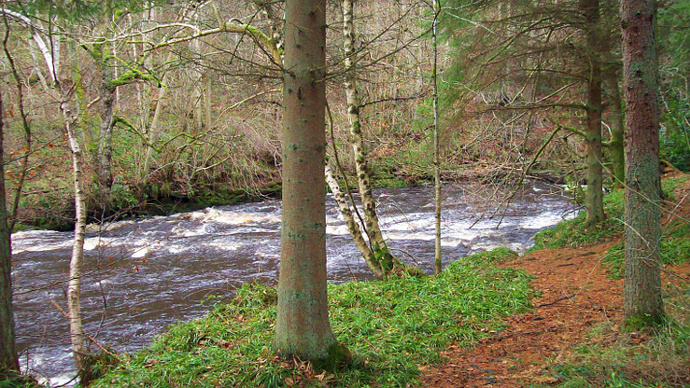 Fast moving river through mixed woodland in autumn