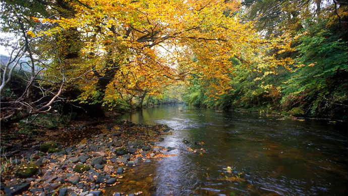 Rock-lined slow moving river weaving through autumnal woodland