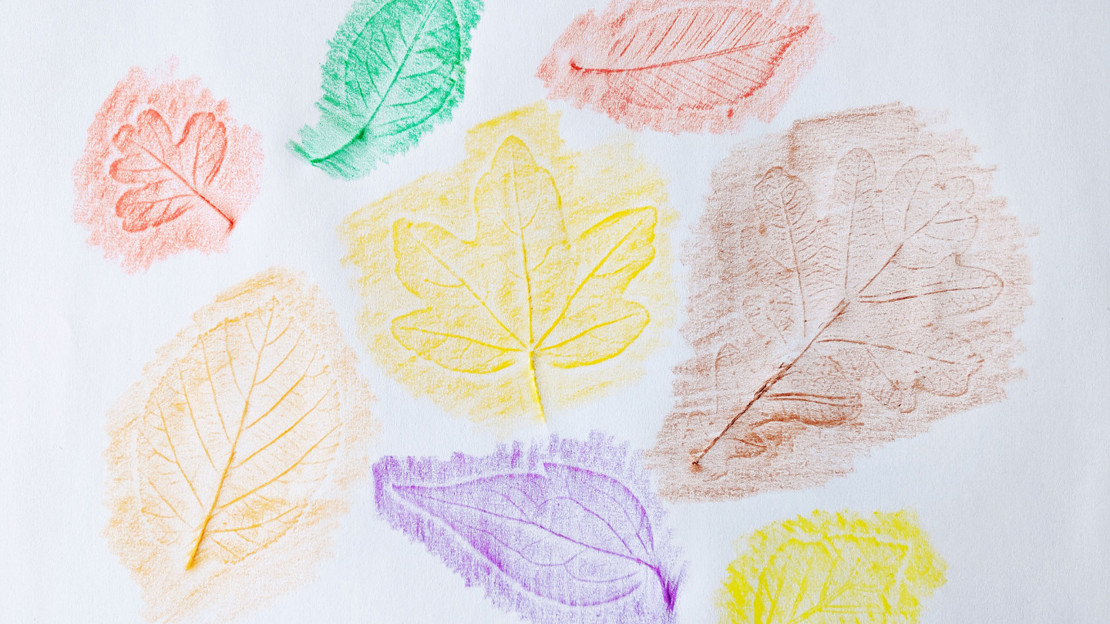 Leaf rubbings on white paper