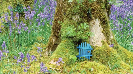 Blue fairy door at the base of the tree among bluebells