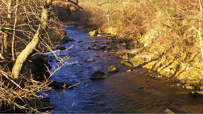 Autumnal view across the river with woodland either side