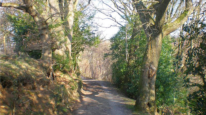 Main public footpath along track to the wood