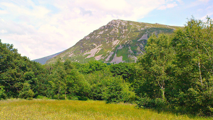 Gyrn Ddu mountain towering on horizon, meadow in foreground