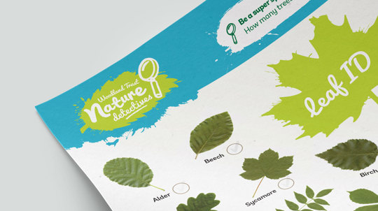 Tree ID for Kids - Nature Detectives - Woodland Trust