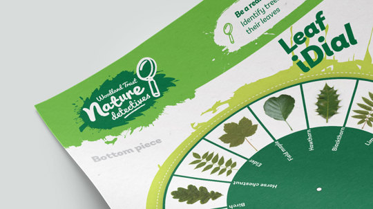 Tree Id Quicksheet Tree ID for Kids - Nature Detectives - Woodland Trust