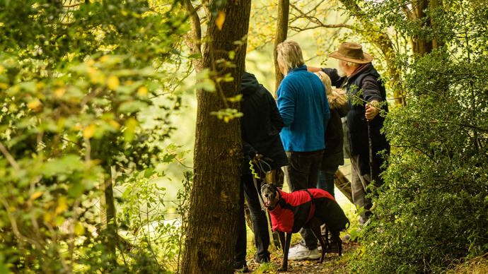 People and dog on woodland walk