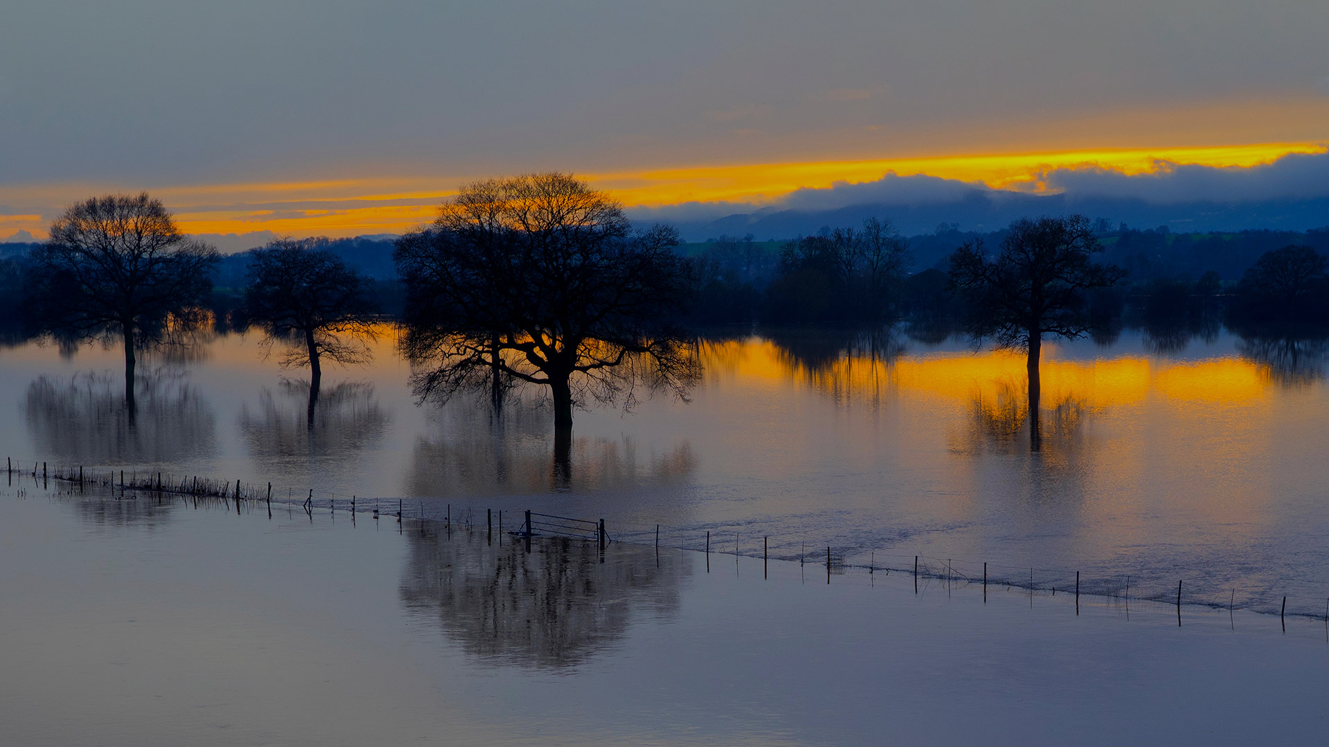 Can trees and woods help reduce flooding? - Woodland Trust