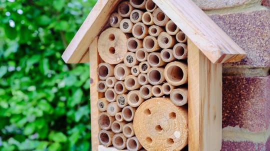 bee hotel 'a insect house made of wood'