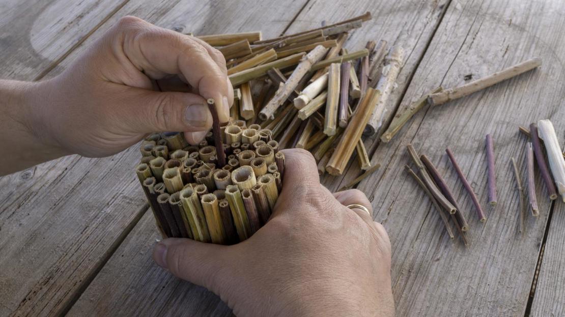 building bee hotel