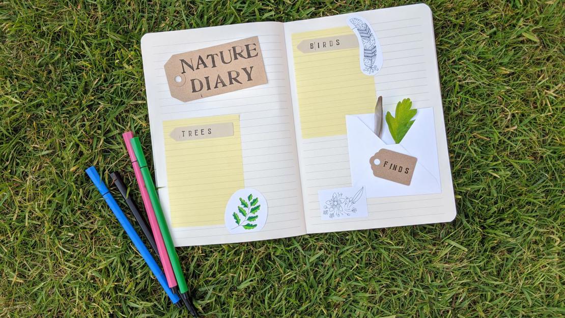 nature diary on grass