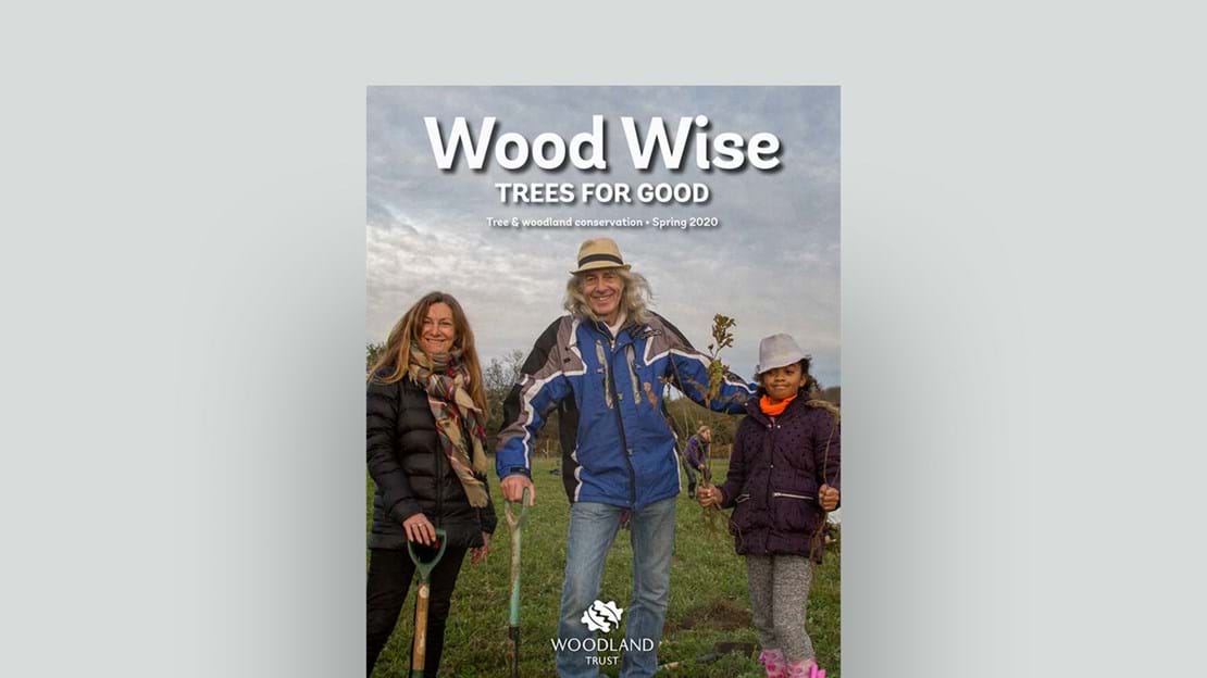 Wood Wise Spring 2020 magazine cover