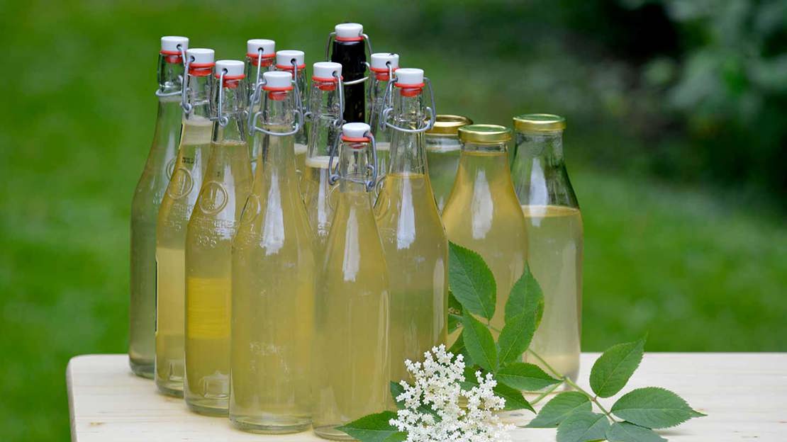 Elderflower Cordial Bottles