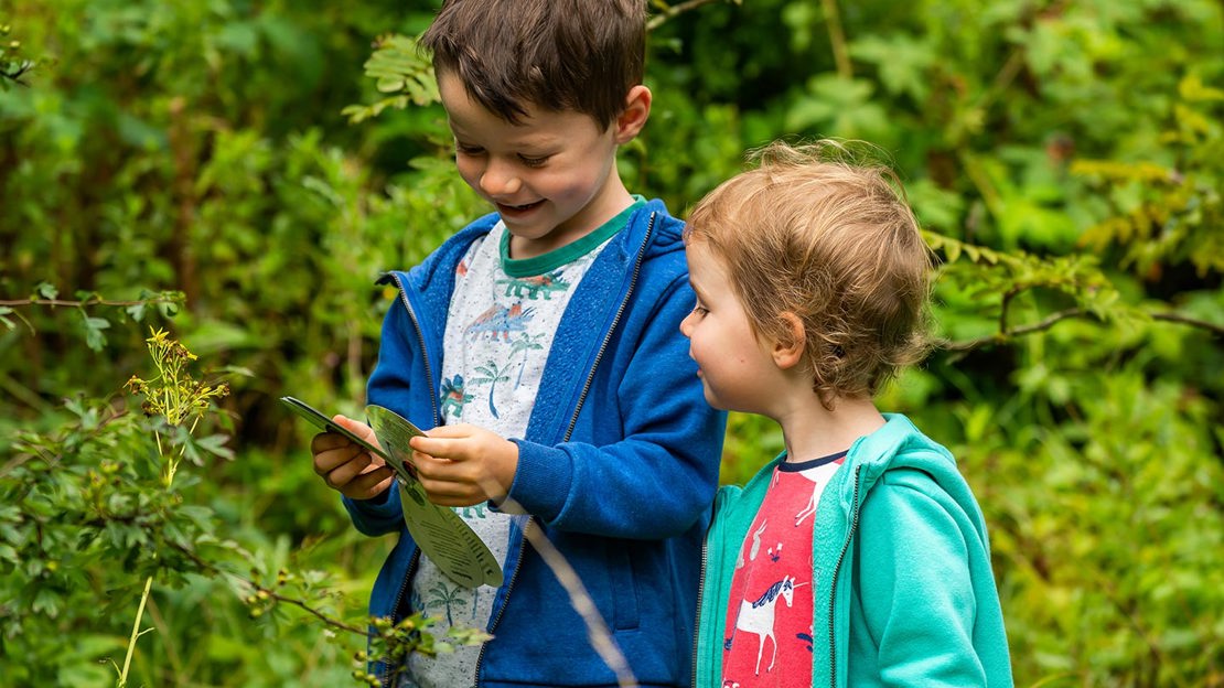 Young girl and boy smiling as they use a tree ID book to identify trees outdoors