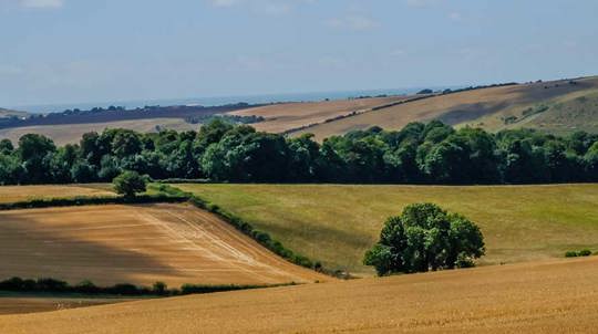 View Of South Downs National Park