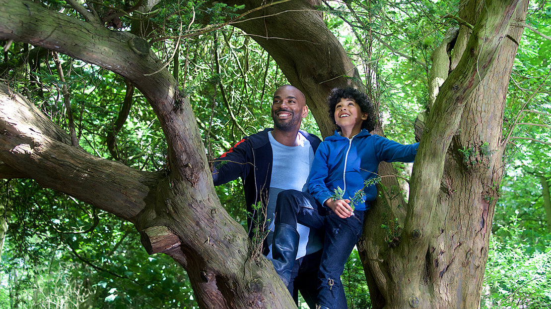 Dad and son exploring a tree together