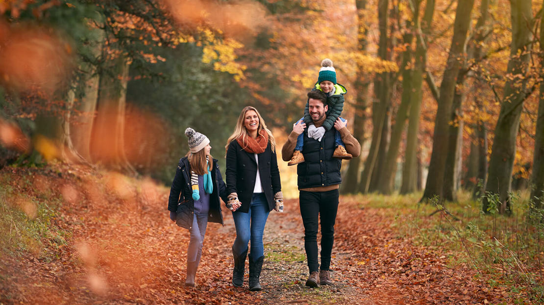 Family walking through a wood in autumn Family walking through a wood in autumn