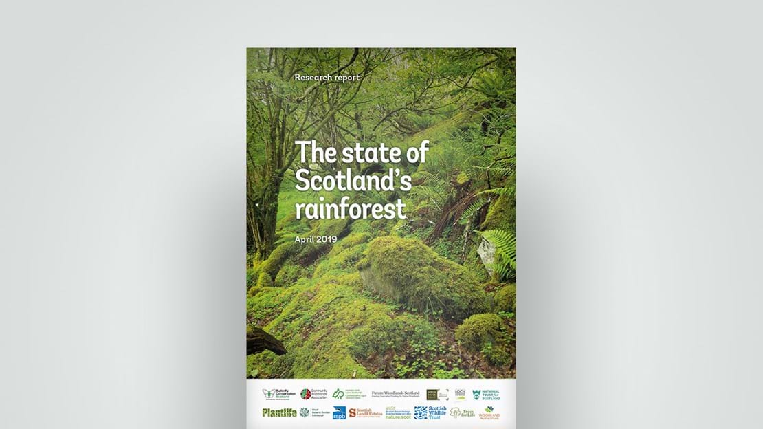 State of Scotland's rainforest, 2019 research report