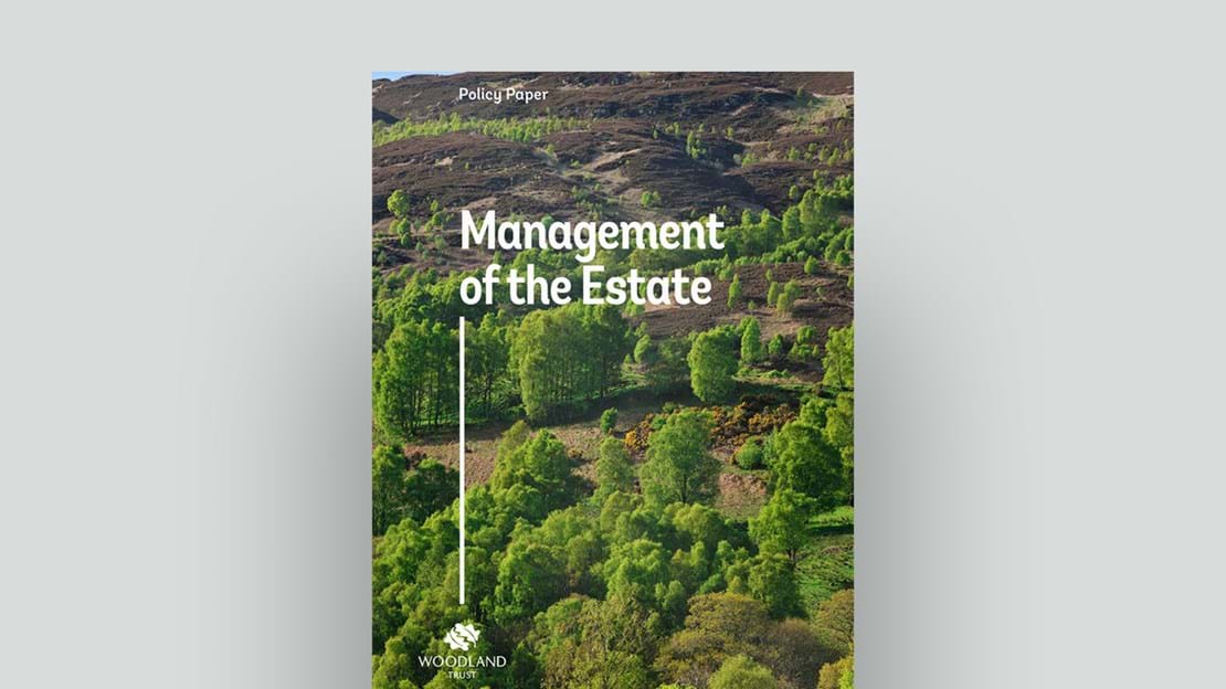 Management of the estate cover