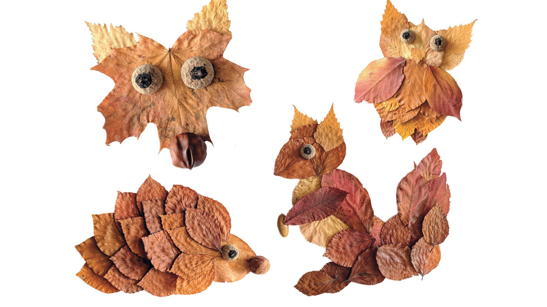 Animal pictures made out of leaves, acorns and conkers - fox, owl, hedgehog and squirrel
