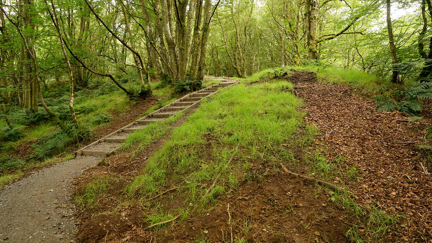 Den Wood Woodland Trust