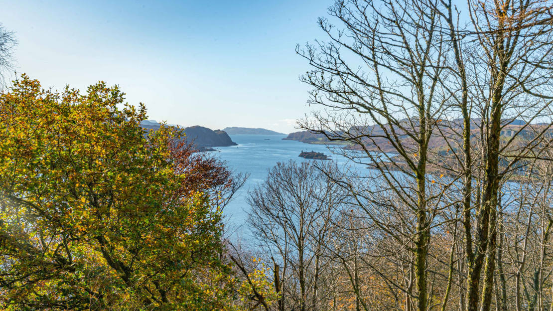View over Oban Bay from Dunollie Wood