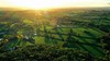 Aerial view of Pepper Wood at sunset