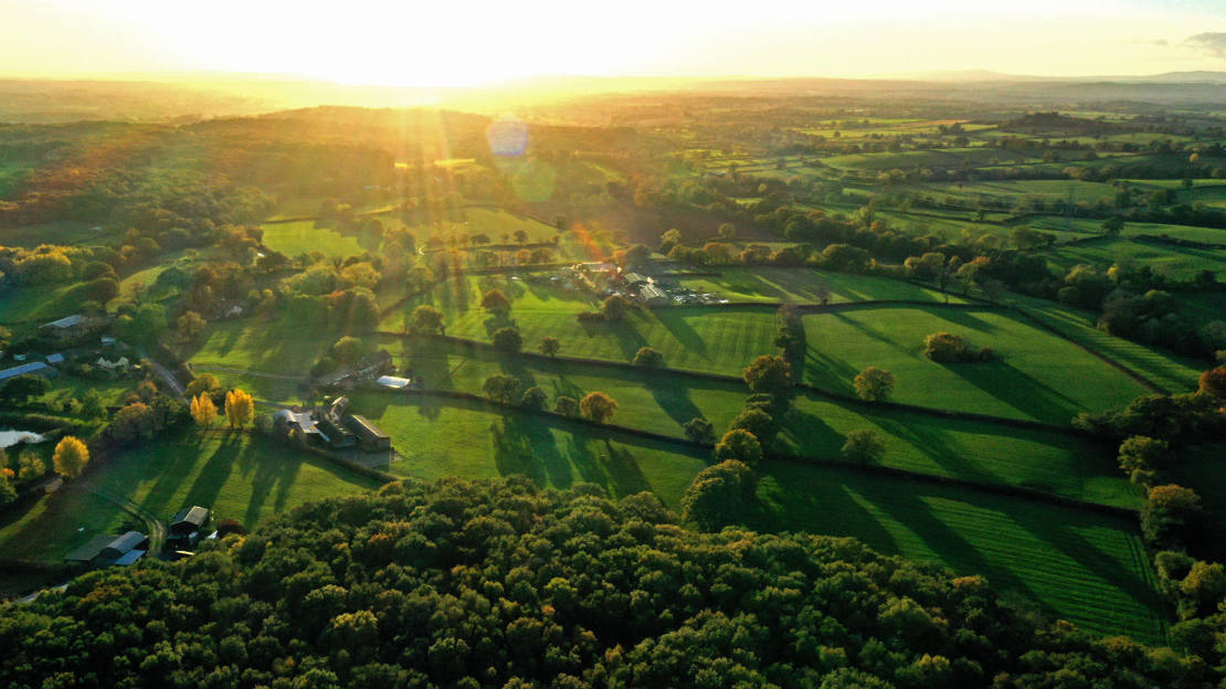 Aerial view of Pepper Wood at sunset