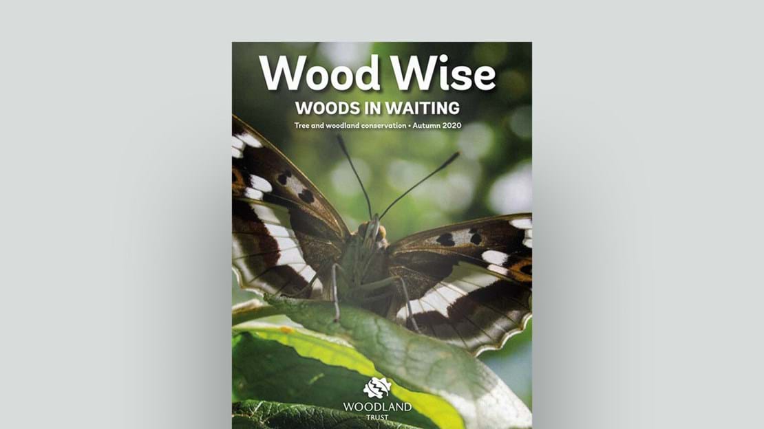 Woodwise autumn 2020 cover