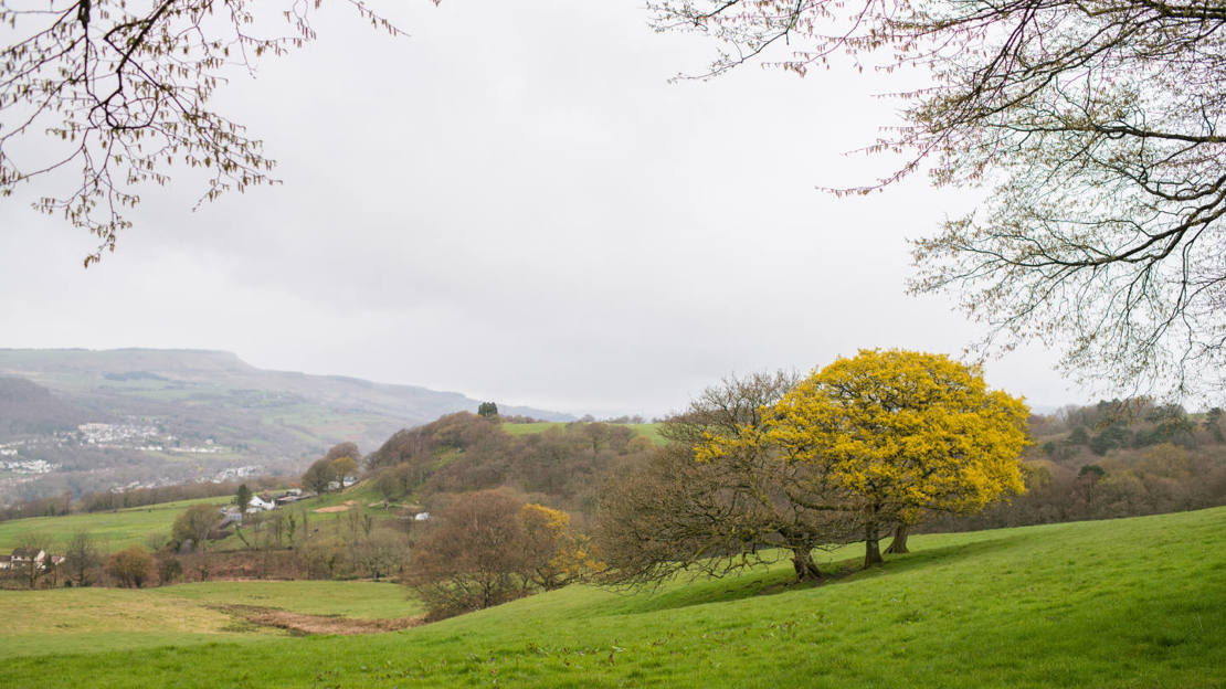 View over Brynau Farm