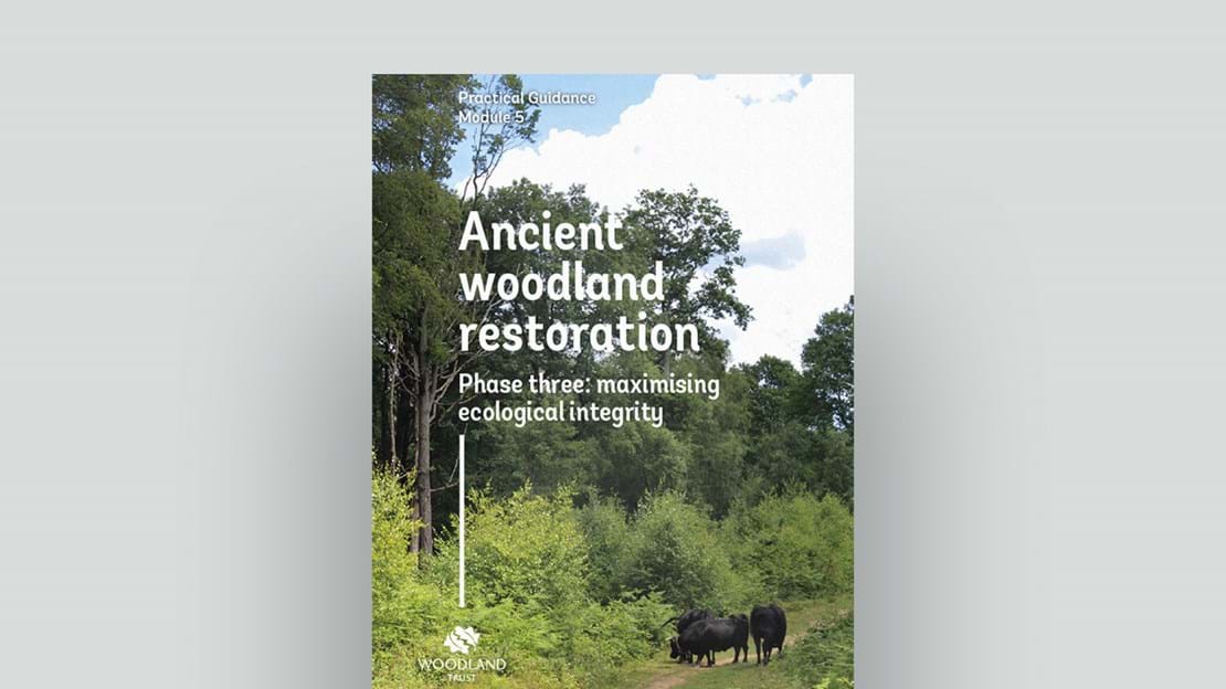 Ancient Woodland Restoration Phase Three: maximising ecological integrity