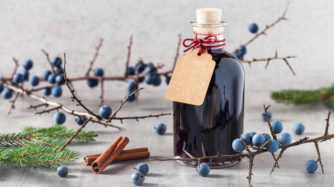 Sloe gin liquor