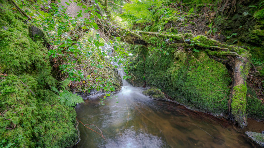 Waterfall at Dunollie Wood