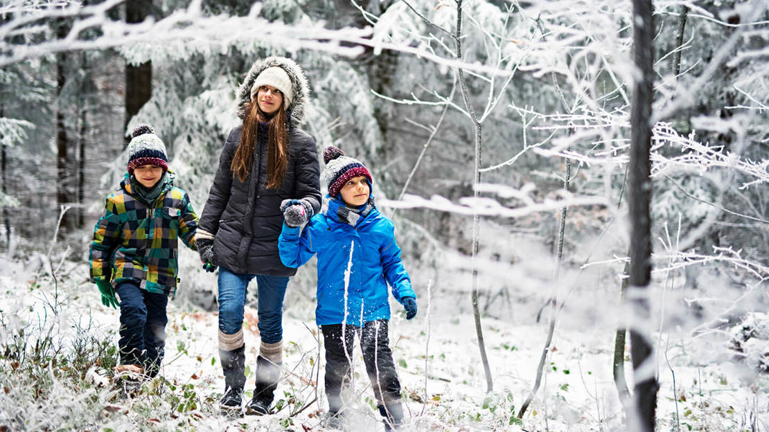 Three children exploring a snowy woodland Three children exploring a snowy woodland