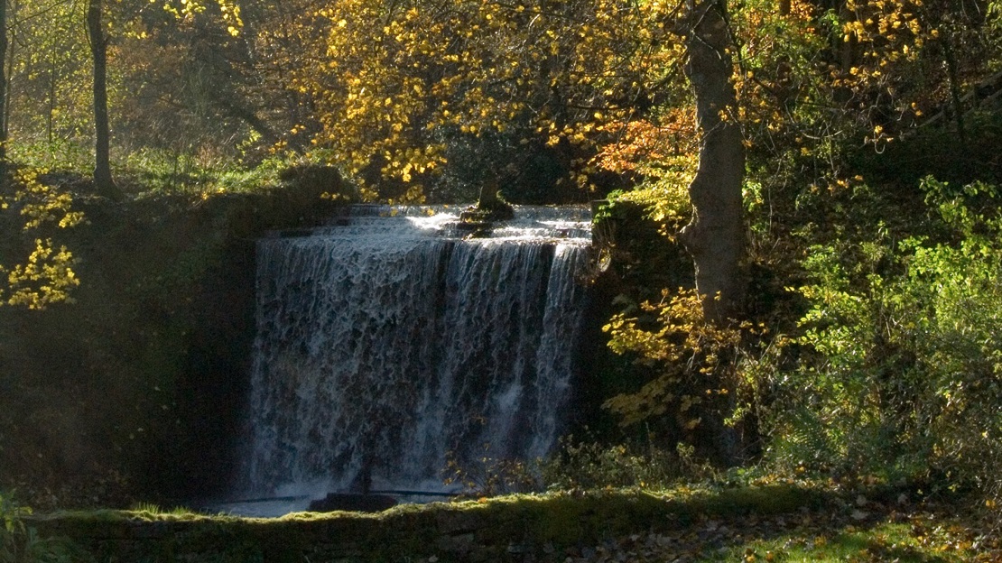 A short, wide waterfall surrounded by leafy trees