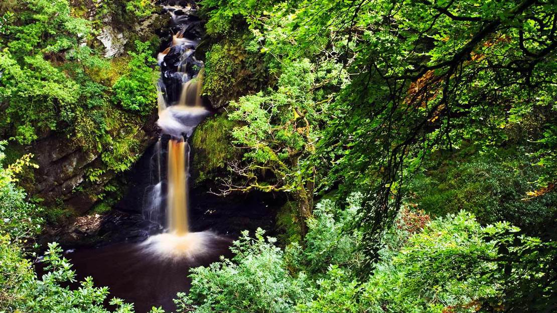 Waterfall dropping into a pool surrounded by woodland