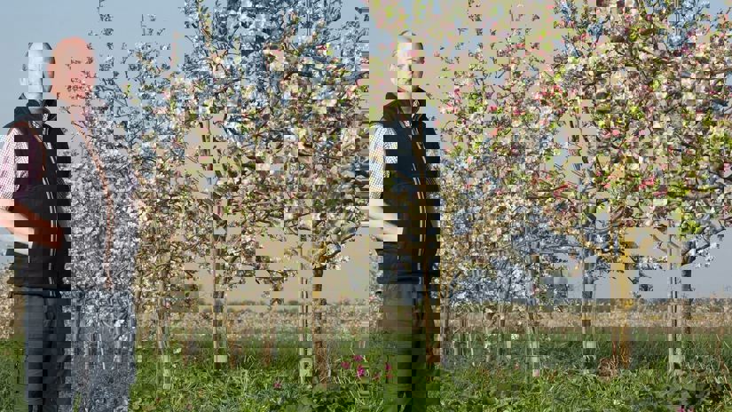 Umbraco.Cms.Infrastructure.PublishedCache.Property