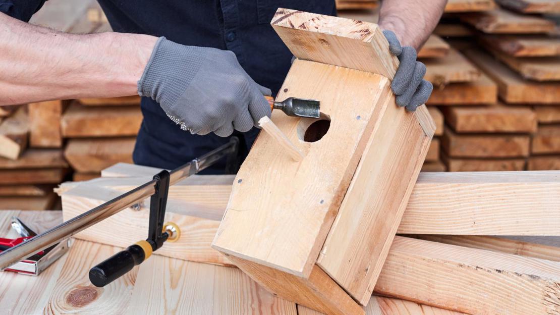 Make a nest box for birds