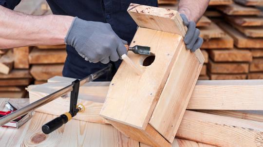 Make a nest box for birds