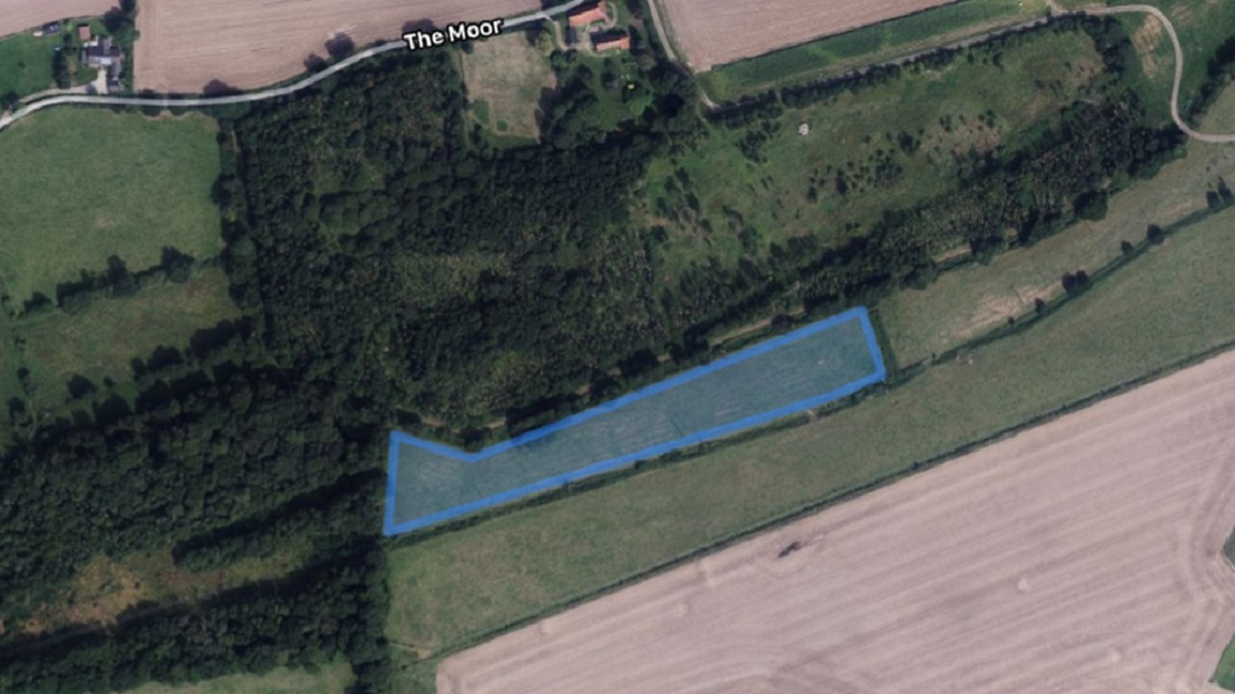 Computer drawn area illustrating site of new wood