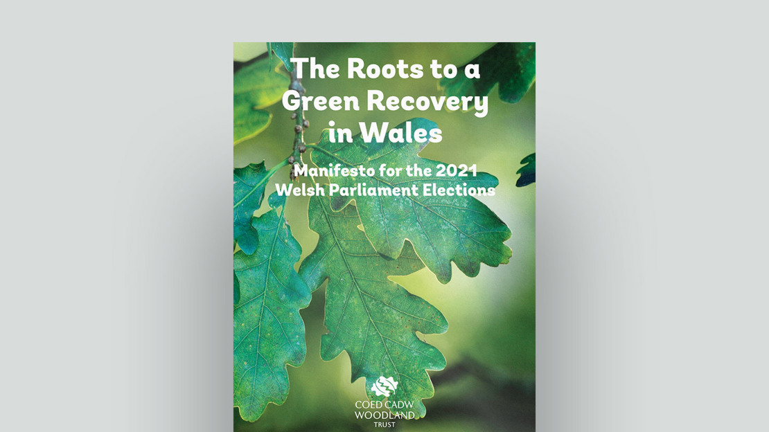 Wales manifesto 2021 cover