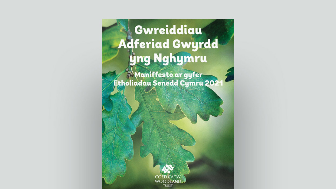 Coed Cadw Maniffesto Cover