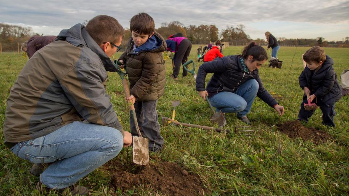 Volunteers and children planting trees