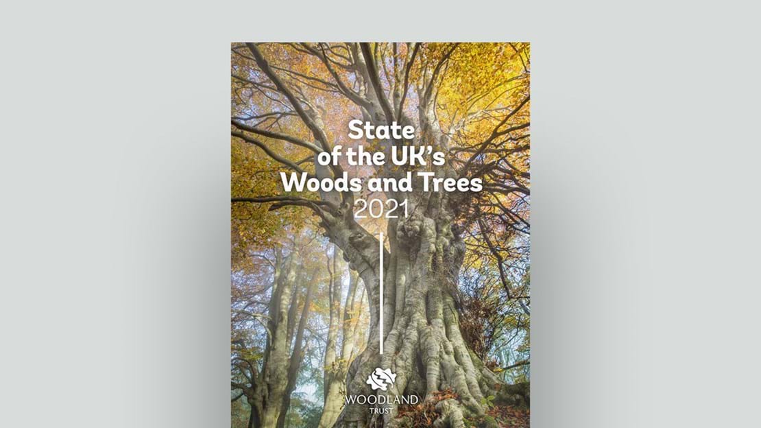 State of the UK's Woods and Trees document cover.