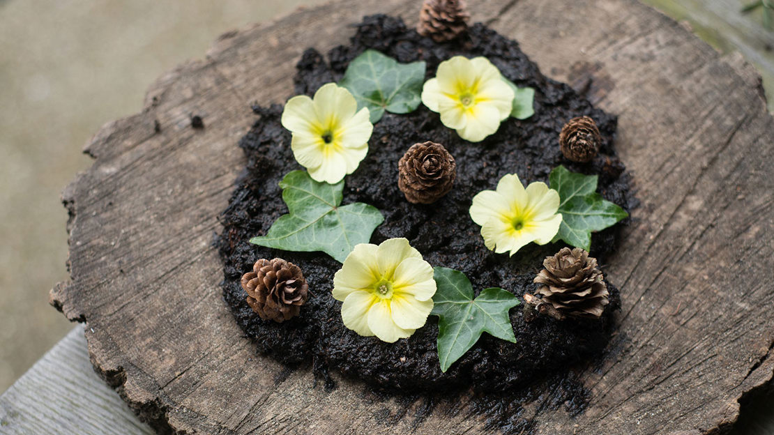 Mud pie with flowers and pinecones